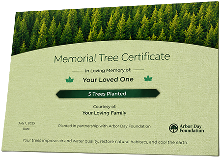 Plant Trees in Memory of Yoshua Semaj Foote